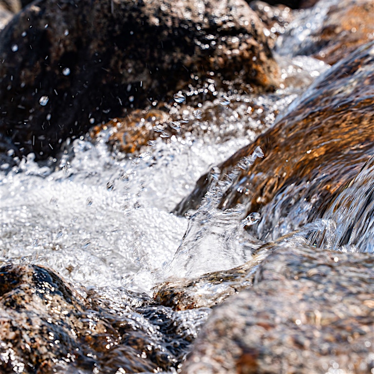 Kraft fra naturen – siden 1919 Kraft fra naturen – siden 1919