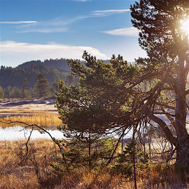 Ved å spare energi sparer du også miljøet Ved å spare energi sparer du også miljøet
